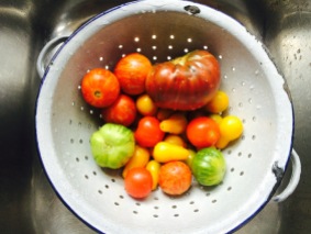 Tomatoes 1